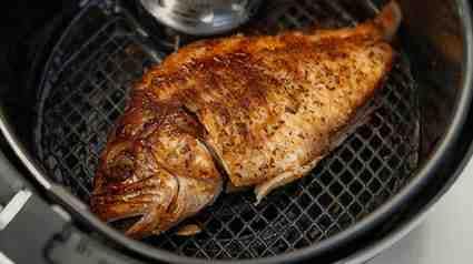 tilapia cooking test on air fryer